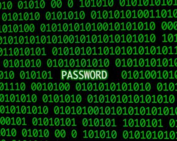 How Are IP Addresses Formatted