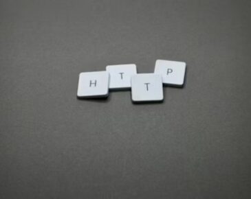 How Does DHCP Assign IP Addresses