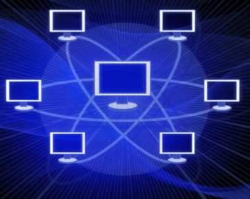 Which topology displays networking device layer ip addresses?